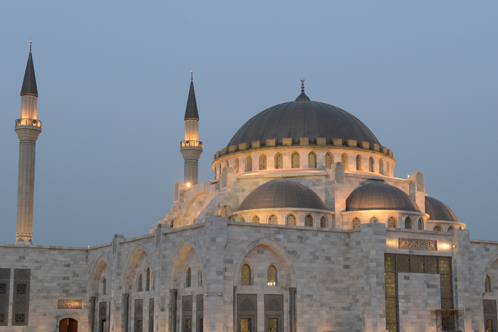 Structural Domes and Long Span Structural Roof systems