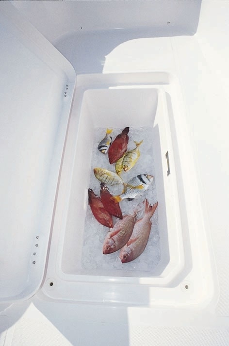 Sea Quest 350 - image 6